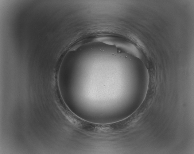 X0000075360401200609081221