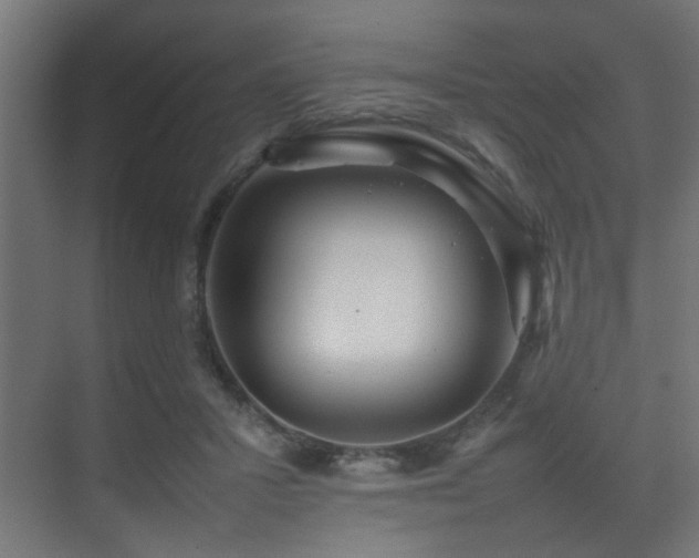 X0000075360407200609081221