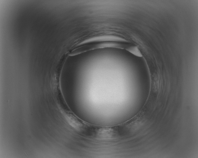 X0000075360410200609081220