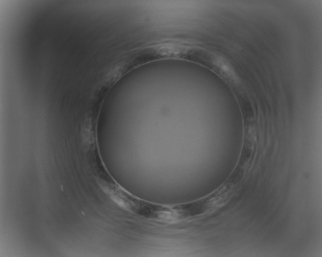 X0000075360411200609081220