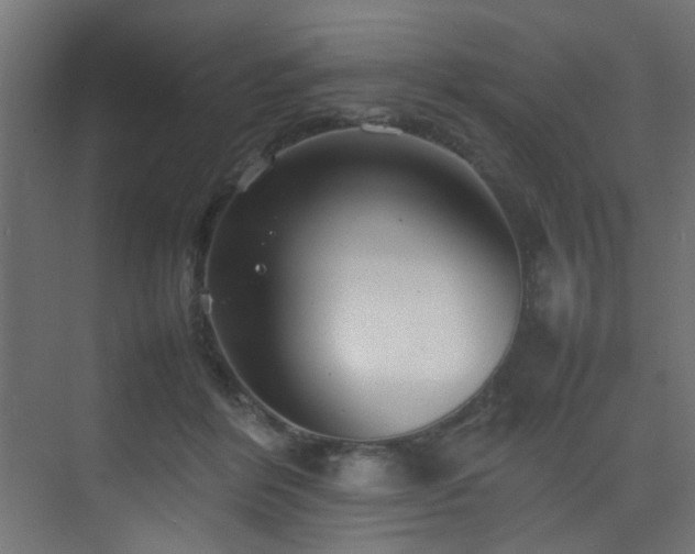 X0000075360412200609081220