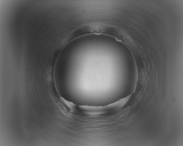 X0000075360413200609081220