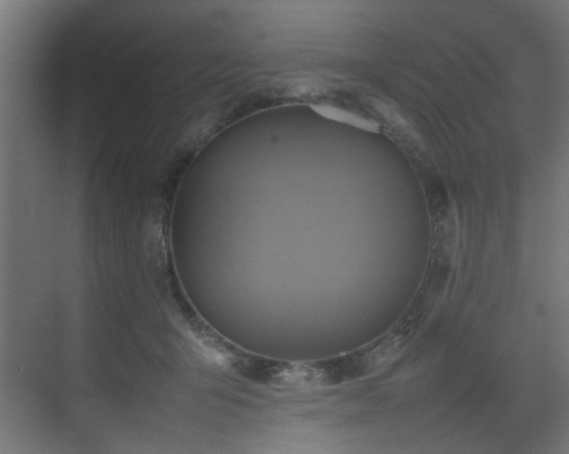 X0000075360415200609081220