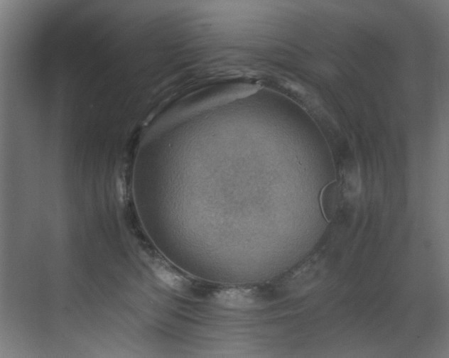 X0000075360422200609081220