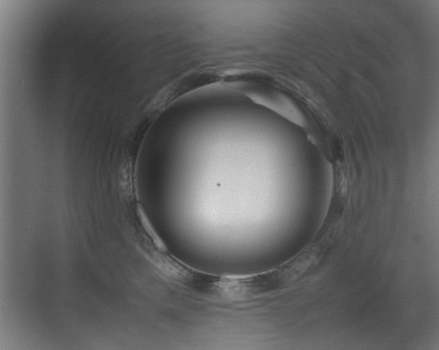 X0000075360425200609081220