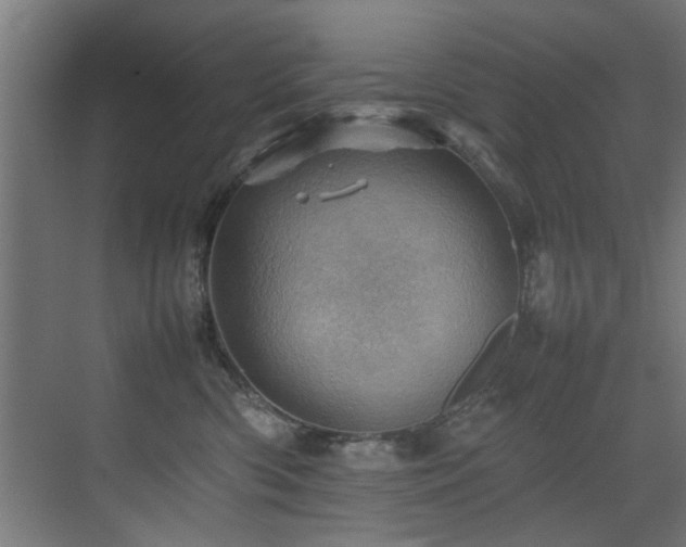 X0000075360426200609081220