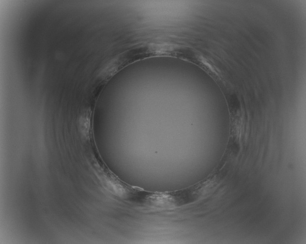 X0000075360427200609081220