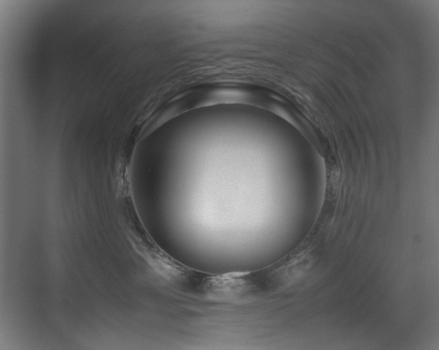 X0000075360429200609081220