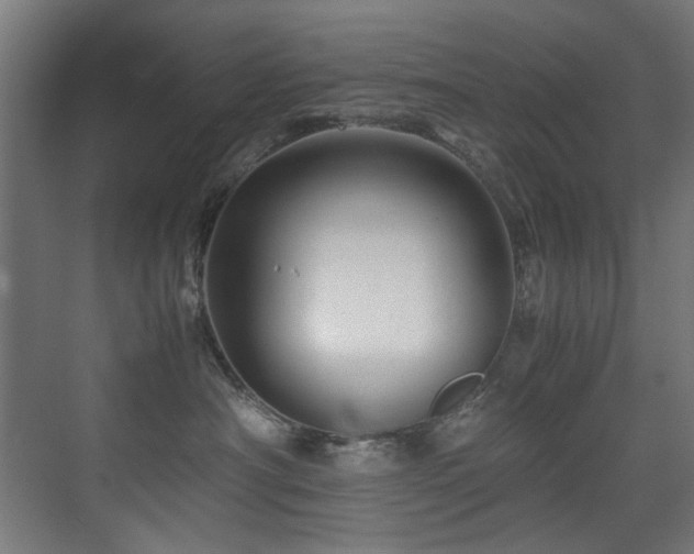 X0000075360430200609081220