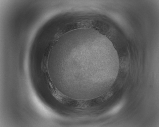 X0000075360431200609081220