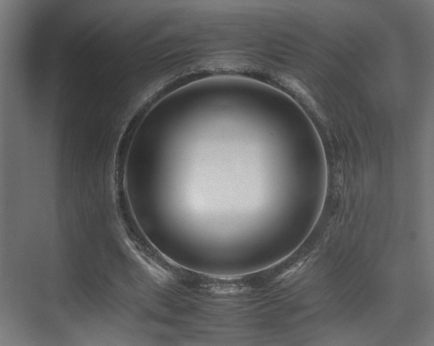 X0000075360439200609081219