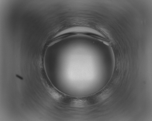 X0000075360453200609081220