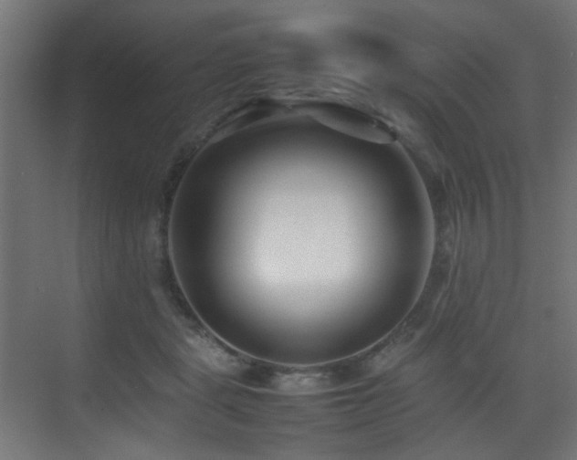 X0000075360461200609081220