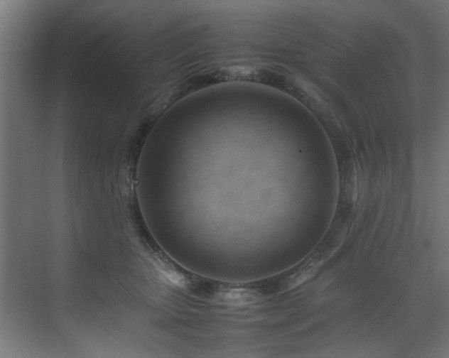 X0000075360467200609081220