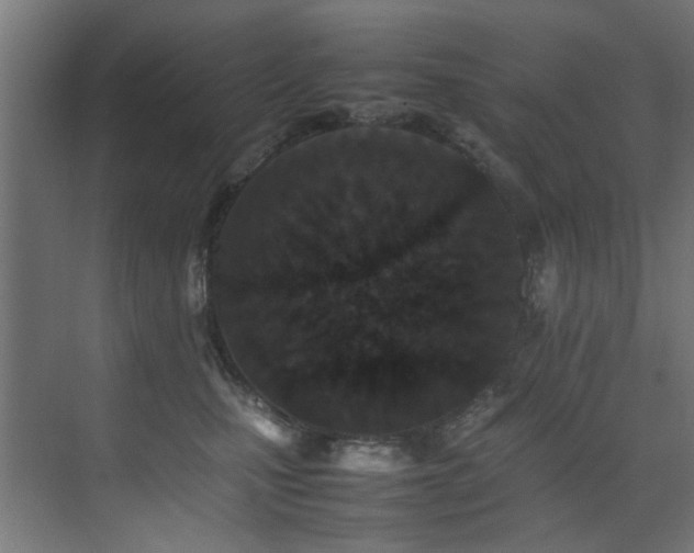 X0000075360471200609081220