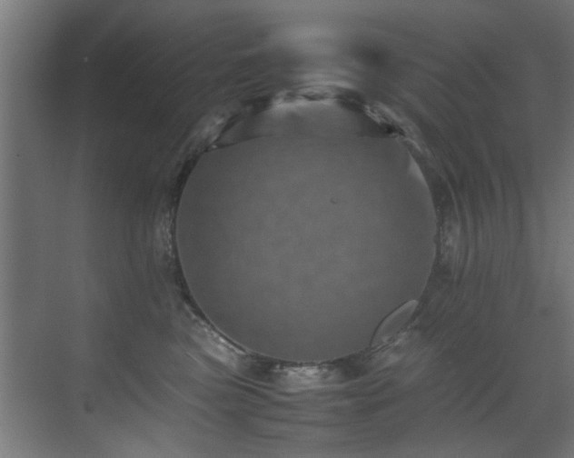 X0000075360473200609081220