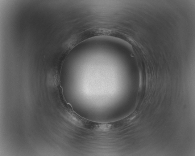 X0000075360474200609081220