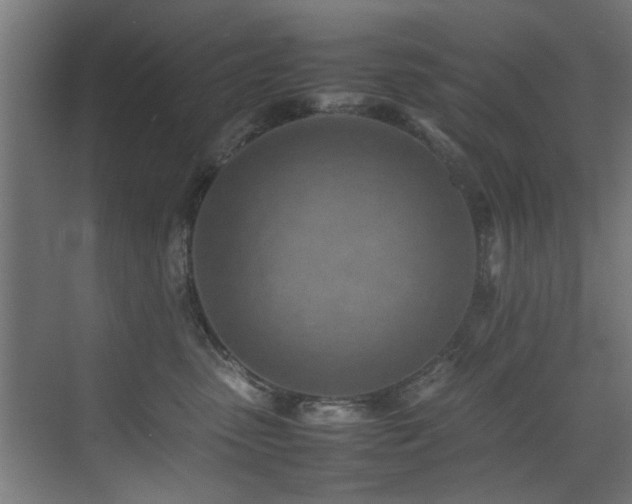 X0000075360475200609081220