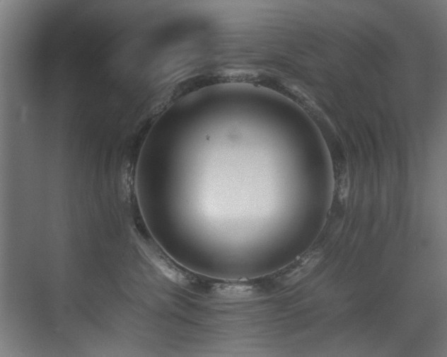 X0000075360476200609081220