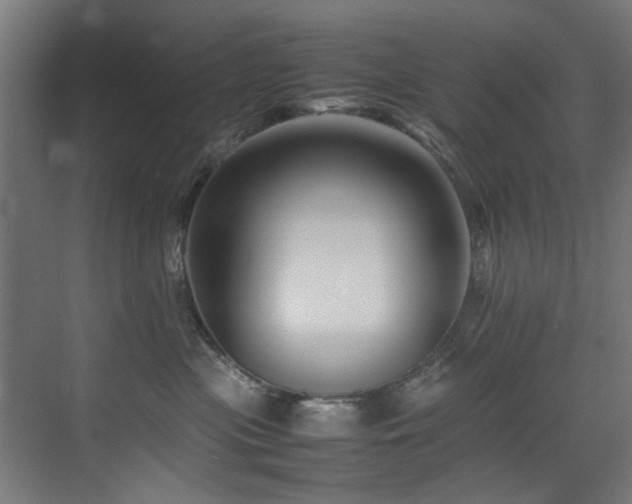 X0000075360477200609081220