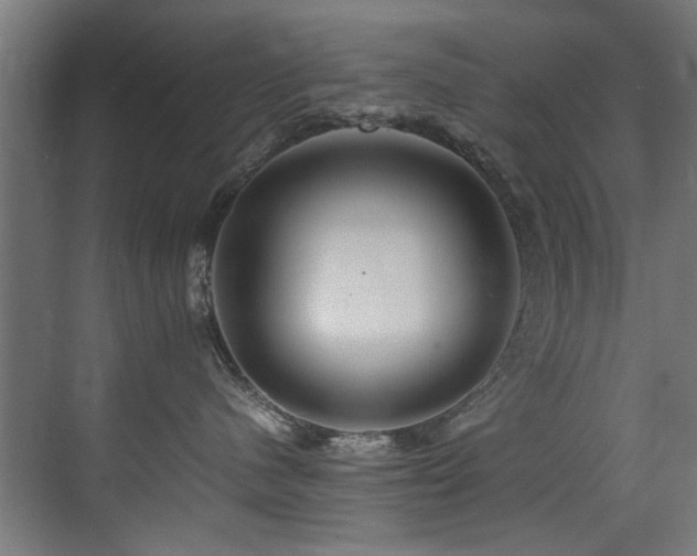 X0000075360480200609081220