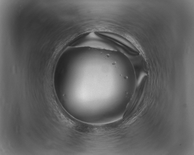 X0000075360481200609081219