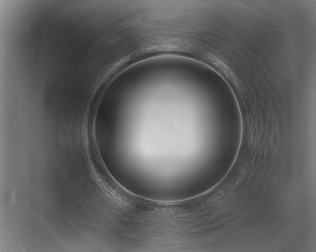 X0000075360482200609081219