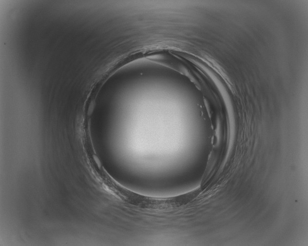 X0000075360485200609081219