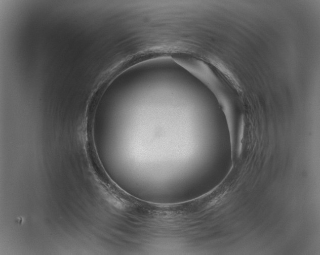 X0000075360486200609081219