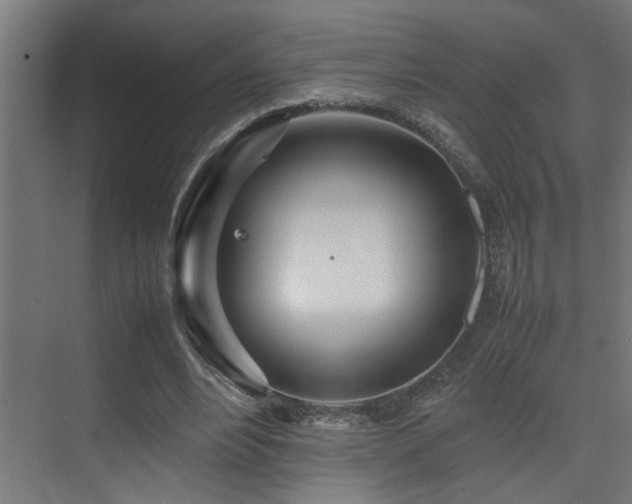 X0000075360488200609081219