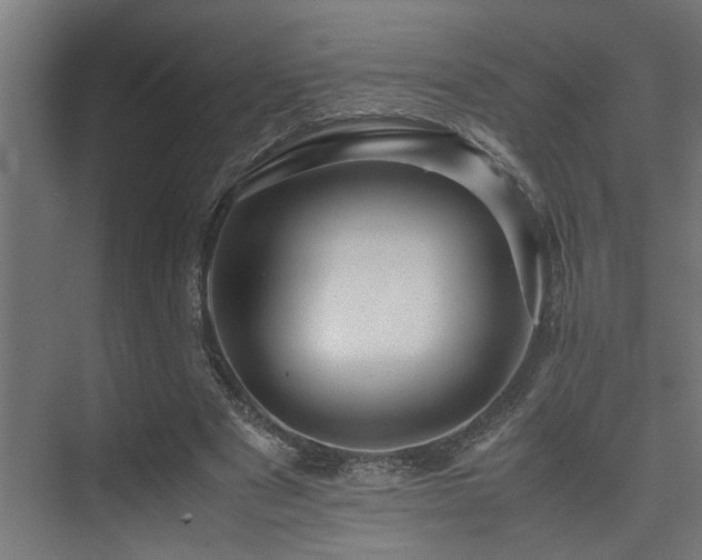 X0000075360489200609081219