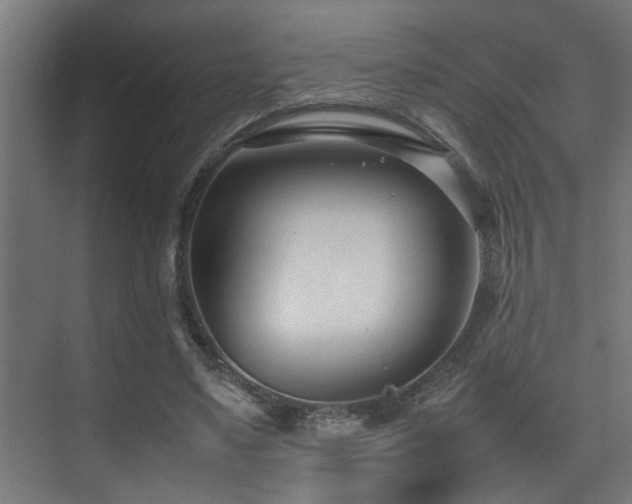 X0000075360491200609081219