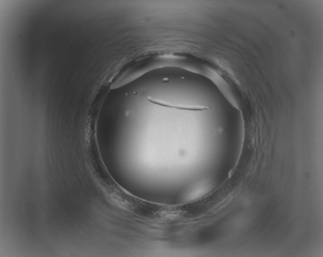 X0000075360495200609081219