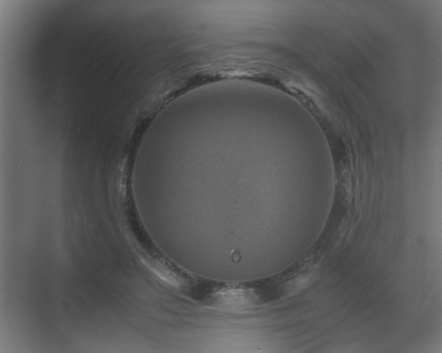 X0000075360499200609081219