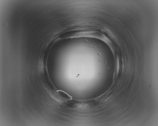 X0000075360500200609081219