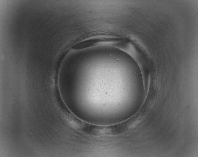 X0000075360501200609081219