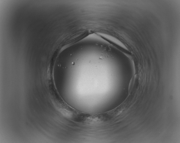 X0000075360502200609081219