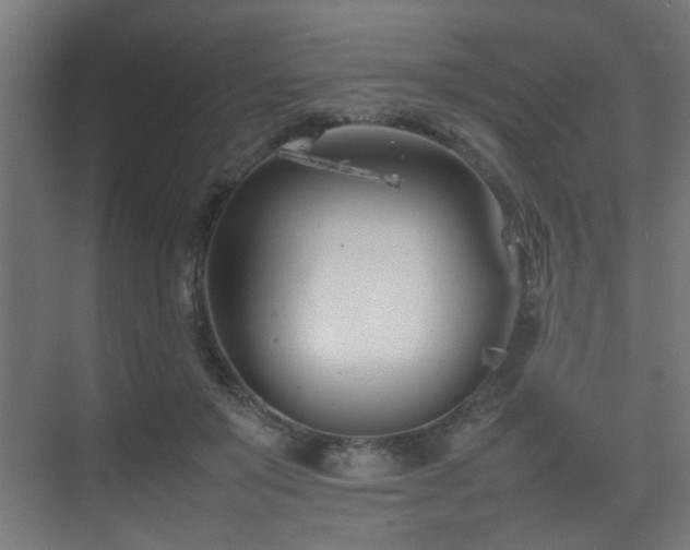 X0000075360503200609081219