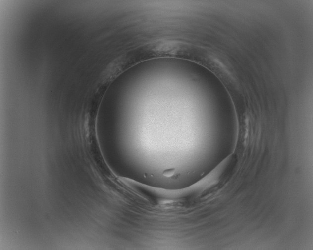 X0000075360504200609081219