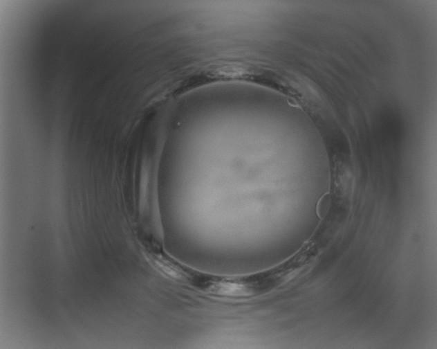 X0000075360507200609081219