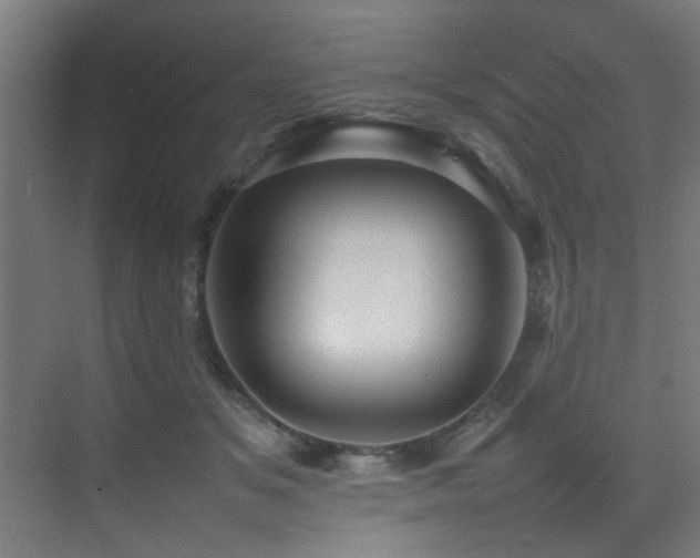 X0000075360509200609081219