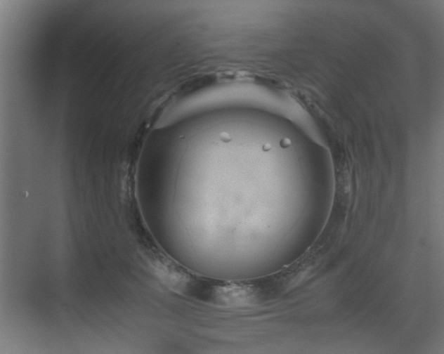 X0000075360511200609081219