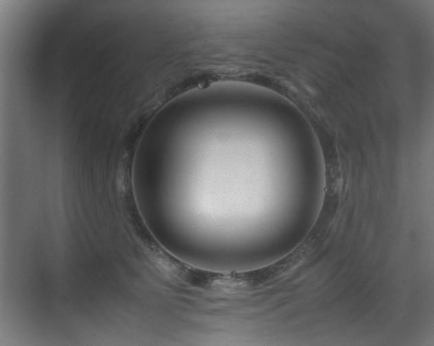 X0000075360515200609081219