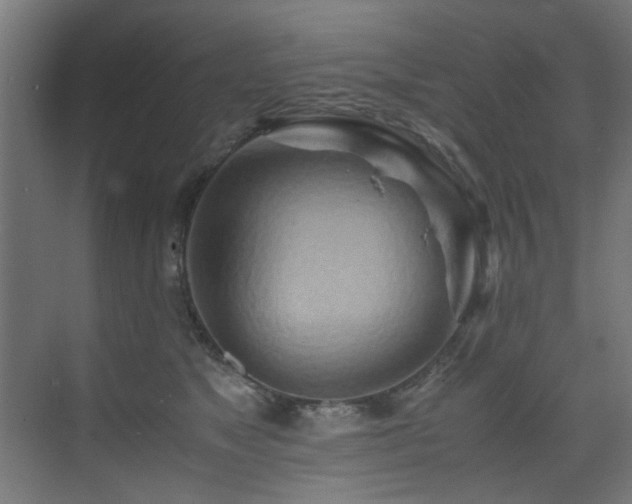 X0000075360517200609081219