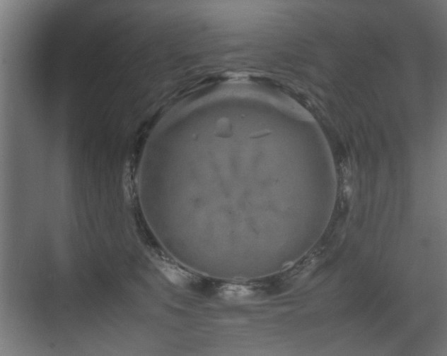 X0000075360519200609081219