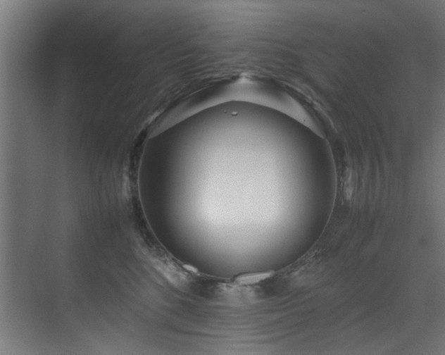 X0000075360520200609081219