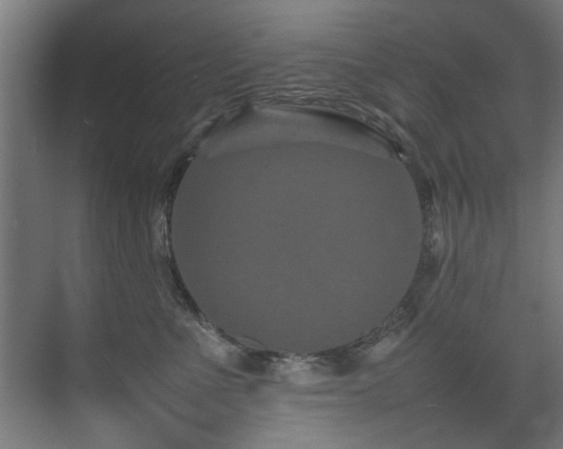 X0000075360523200609081219