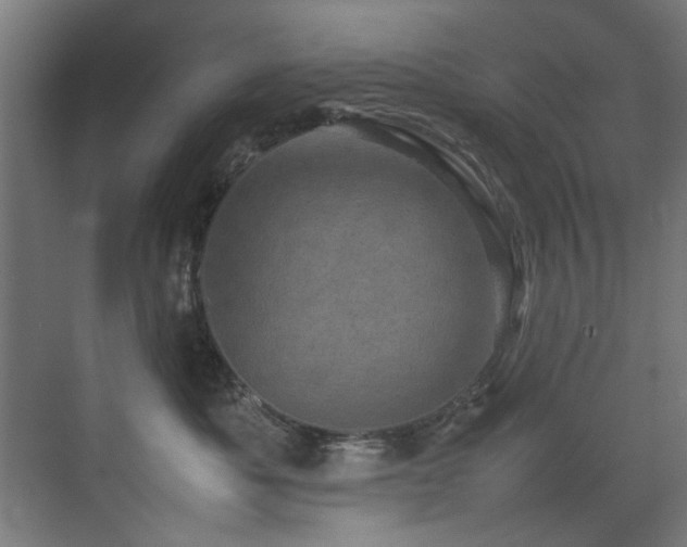 X0000075360525200609081218