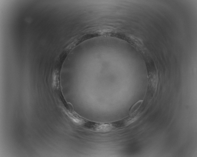 X0000075360527200609081218