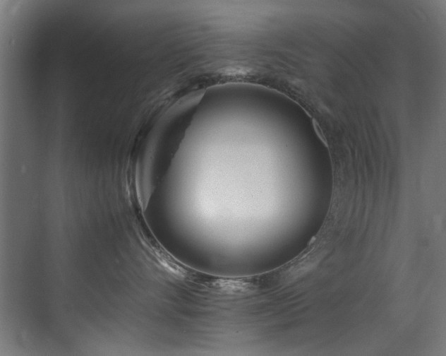 X0000075360528200609081218